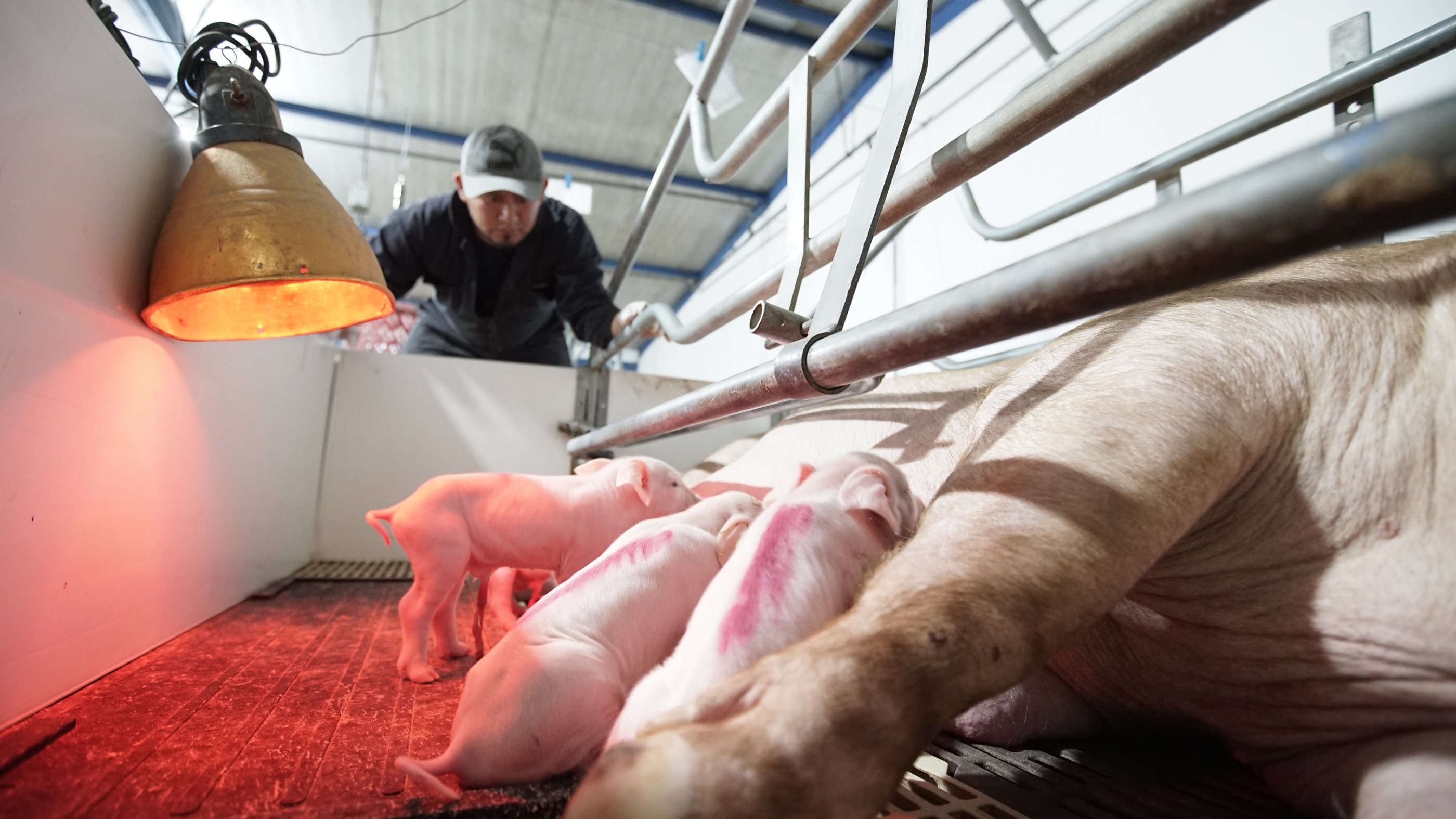 Trabaja con Nosotros